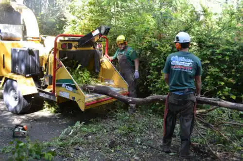 tree services Carlinville